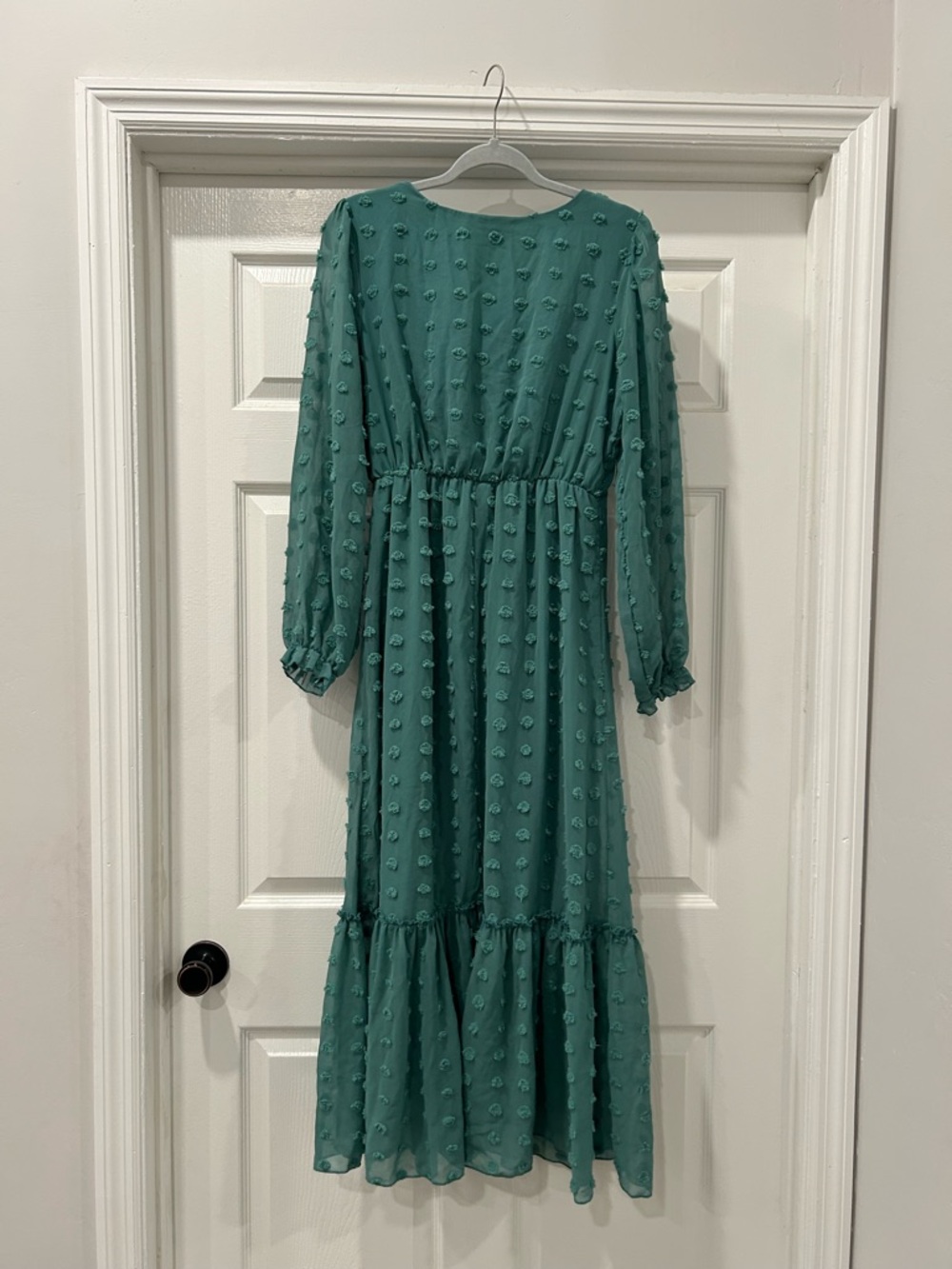 the Line of Style Green Swiss Dot Dress Size Medium - Picture 2 of 6